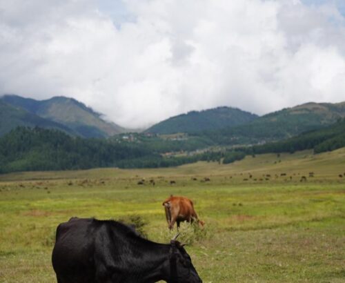 WhatsApp Image 2024-09-29 at 1.00.12 AM (1)