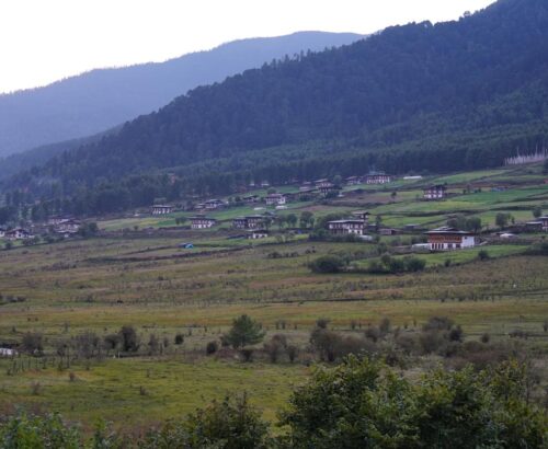 WhatsApp Image 2024-09-29 at 1.00.16 AM