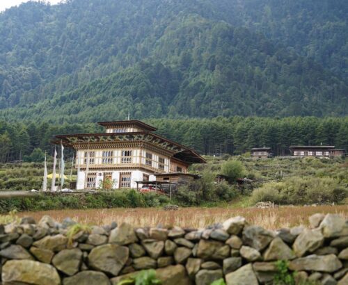 WhatsApp Image 2024-09-29 at 1.03.34 AM (1)