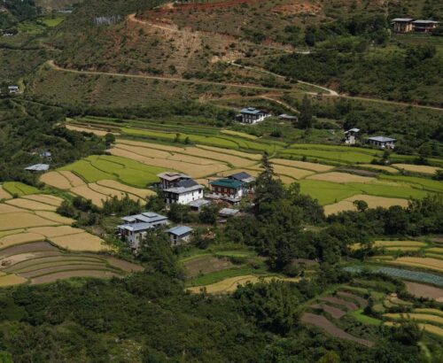 WhatsApp Image 2024-09-30 at 9.07.31 PM