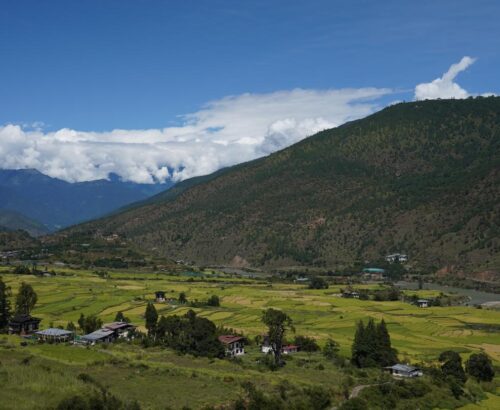 WhatsApp Image 2024-09-30 at 9.07.32 PM