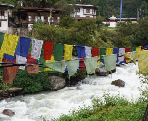 WhatsApp Image 2024-09-30 at 9.14.10 PM